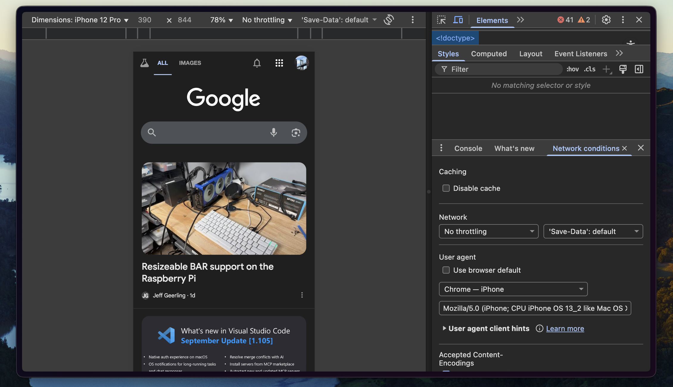 A screenshot of the fully configured browser developer tools window.