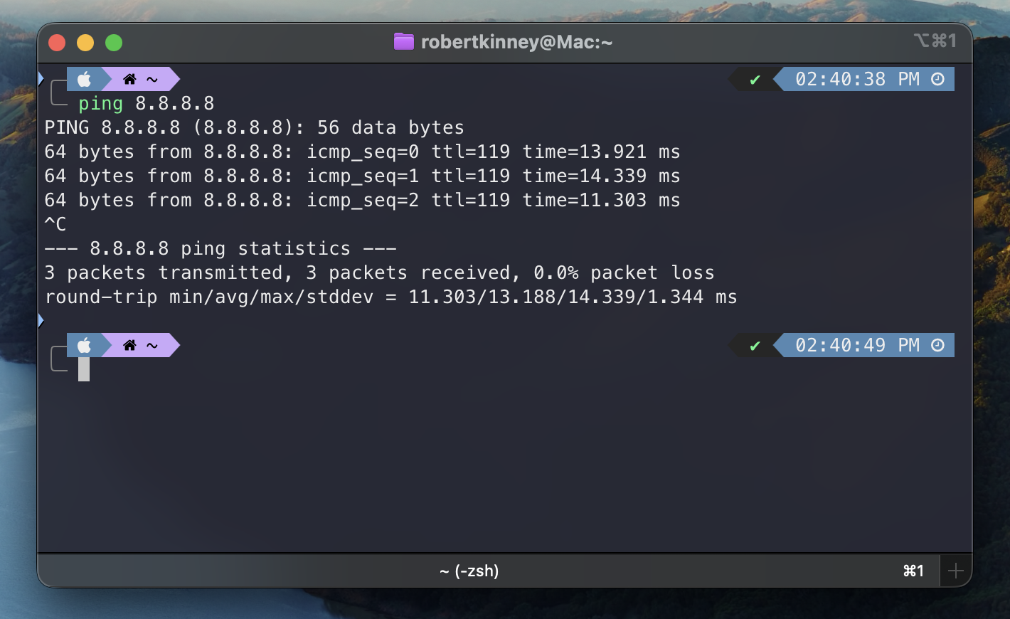 A screenshot of a terminal window attempting to ping Google's DNS server successfully.